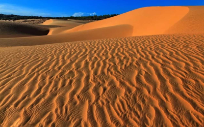 Waves in the Sand – Touching the Soul of Mũi Né at Blue Ocean